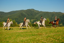 Romania-Transylvania-Carpathian History & Nature Ride